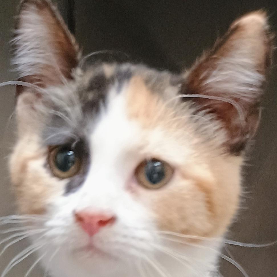 Margo 