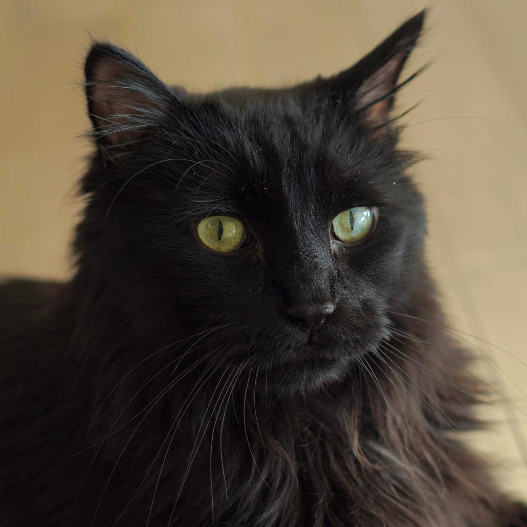 Charlie