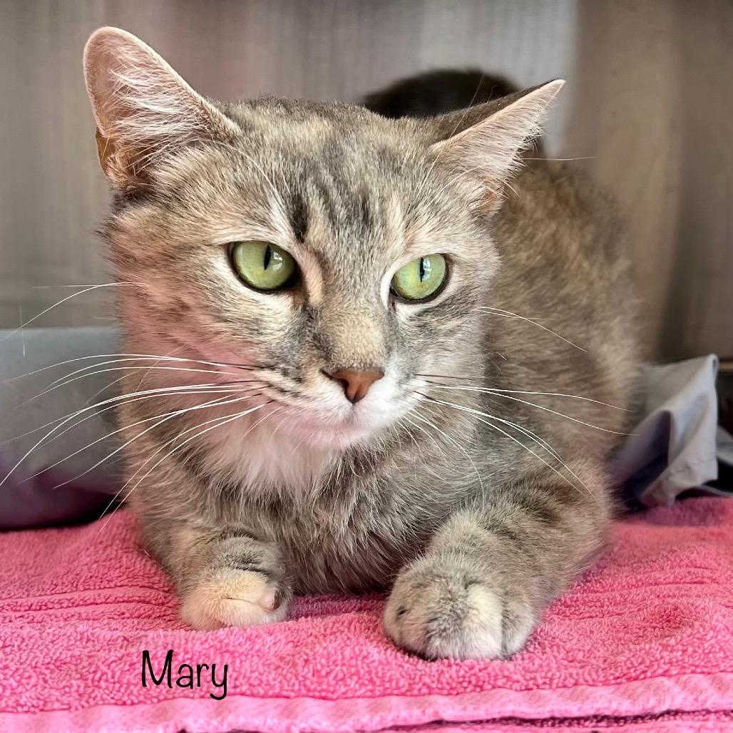 Mary
