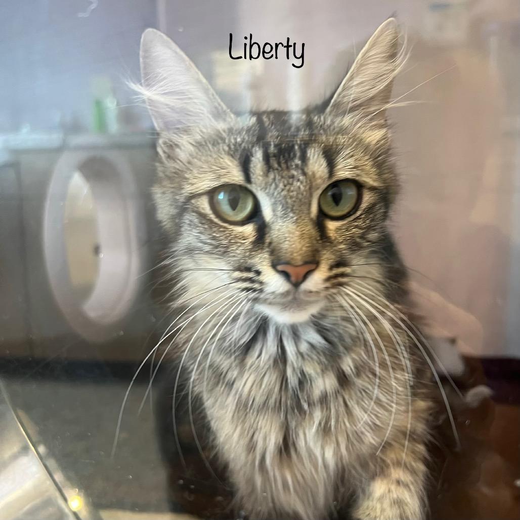Liberty