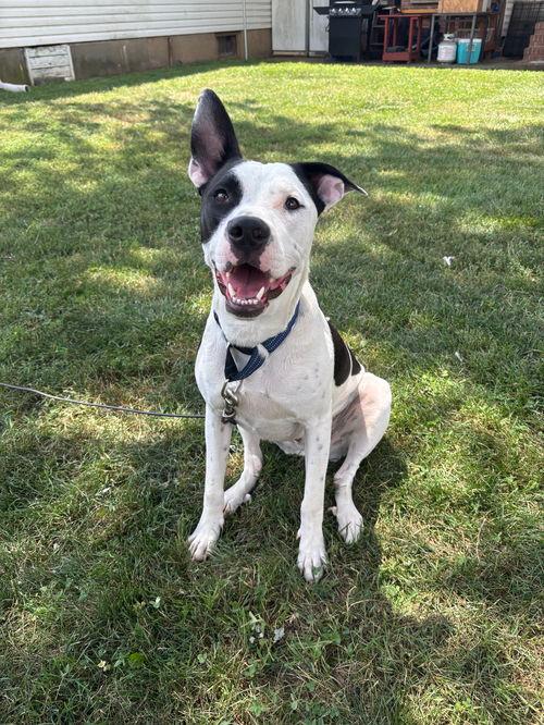 Picture of radar - ready for fun!