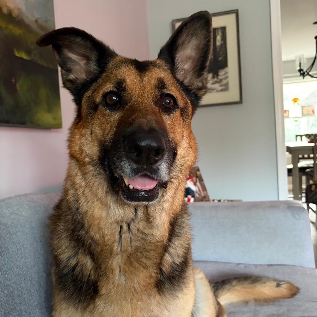 Max