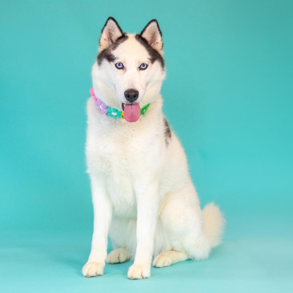 Luna