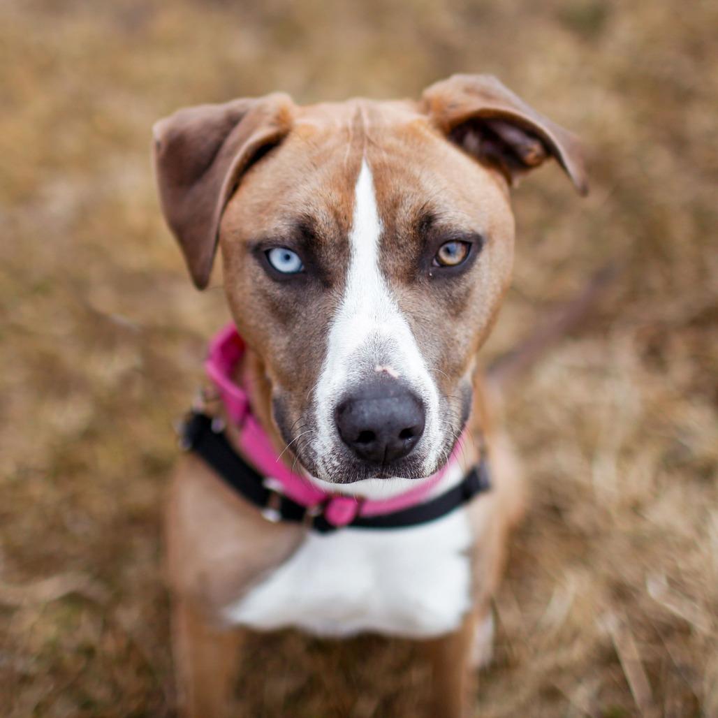 Leila 