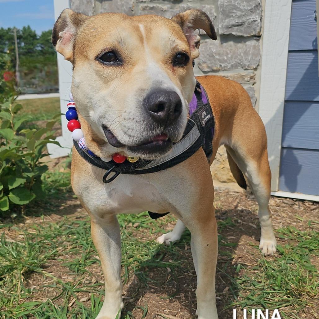Luna