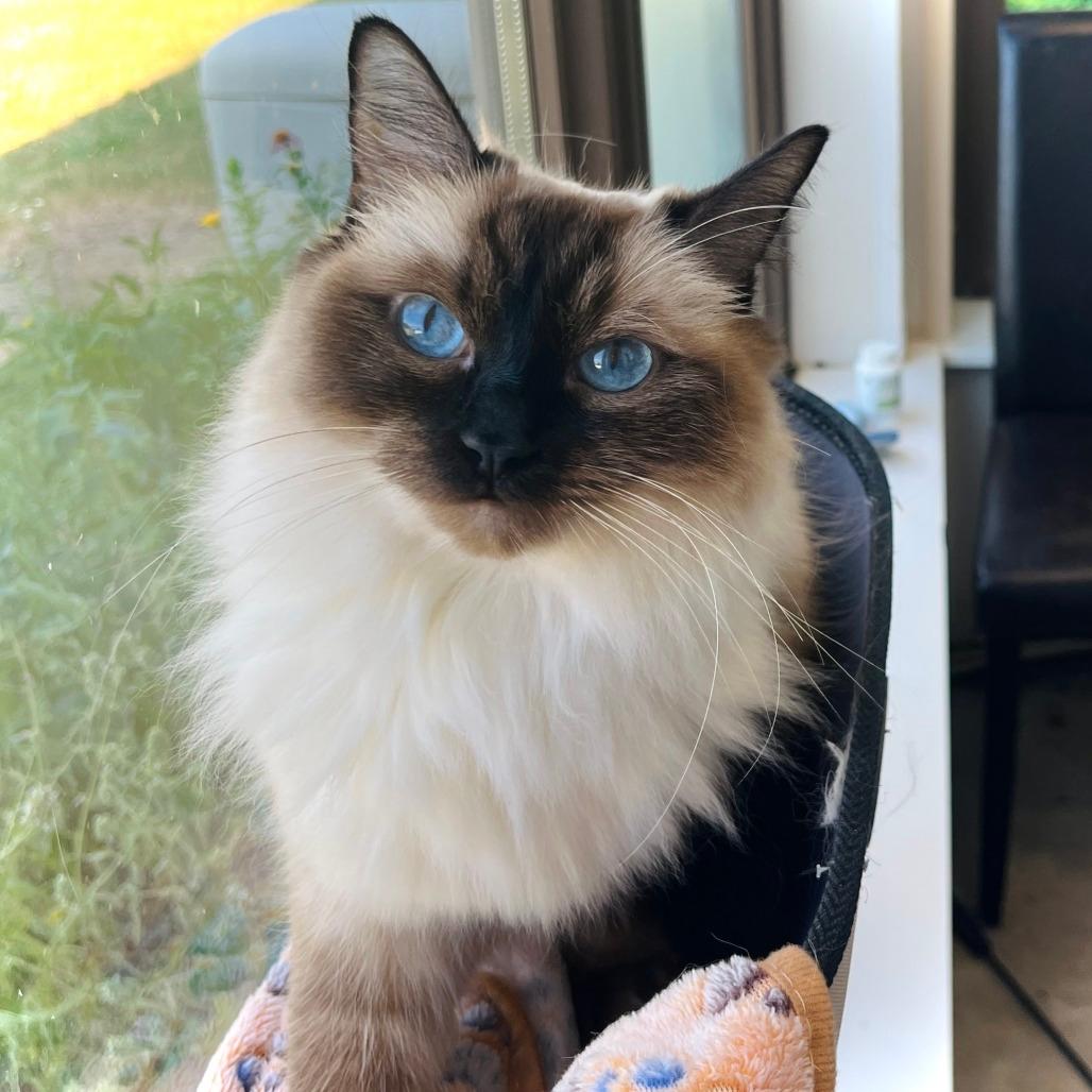 Maggie Mae