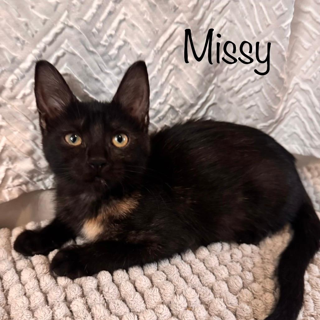 Missy