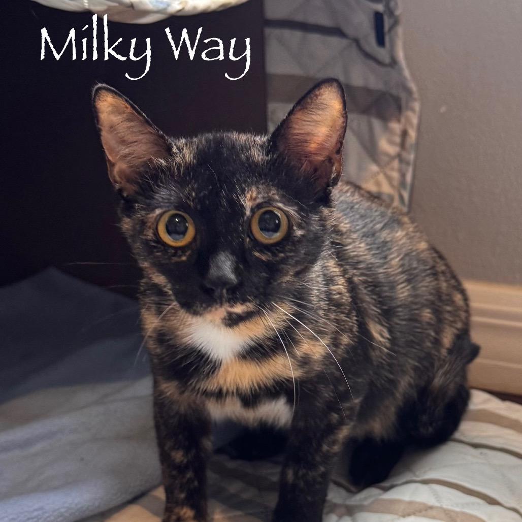 Milky Way