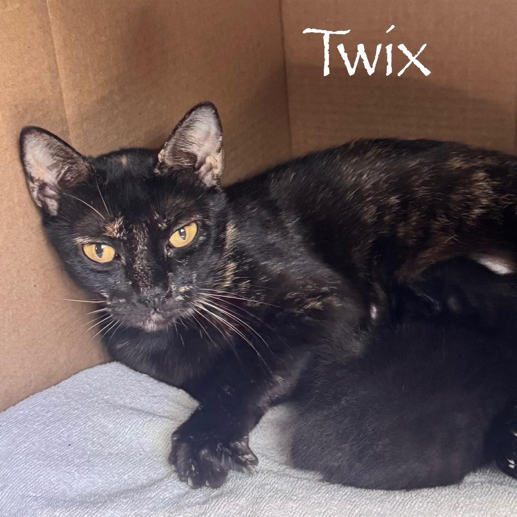 Twix