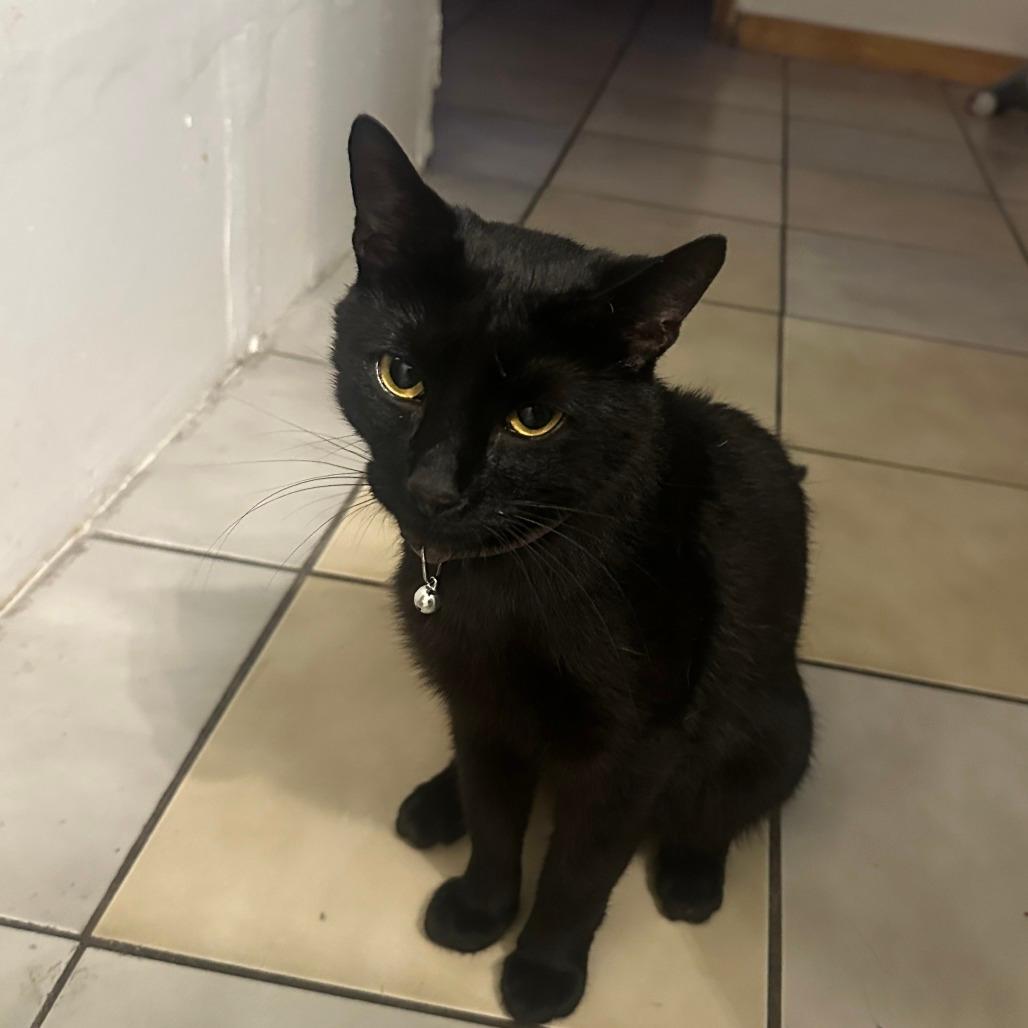 Salem