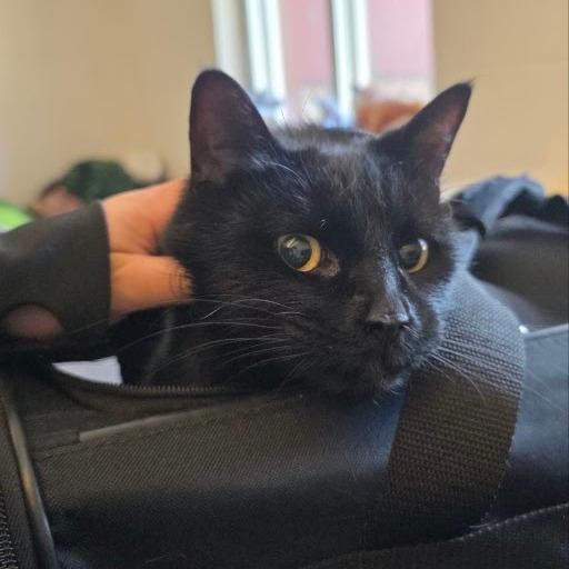 Binx