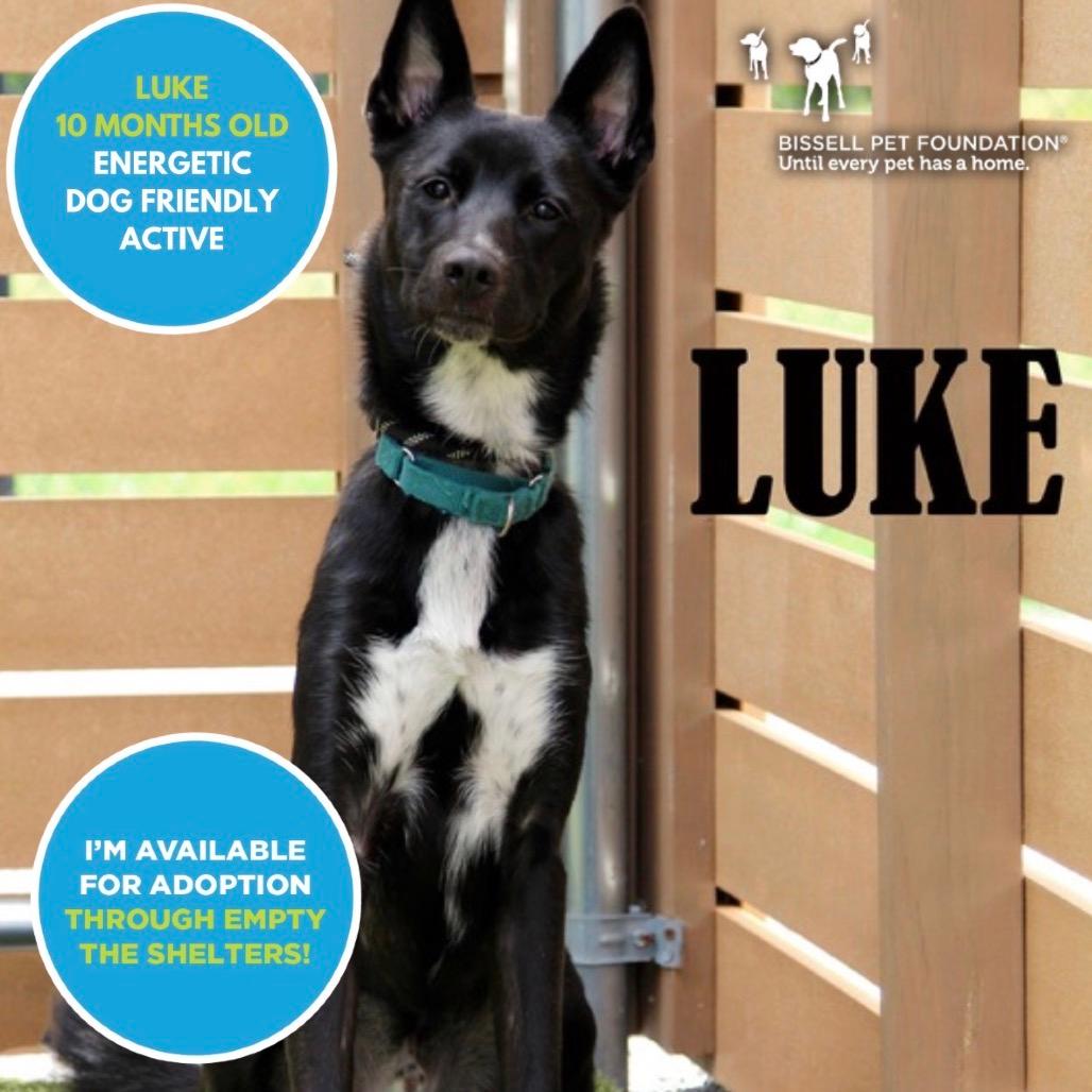 Luke