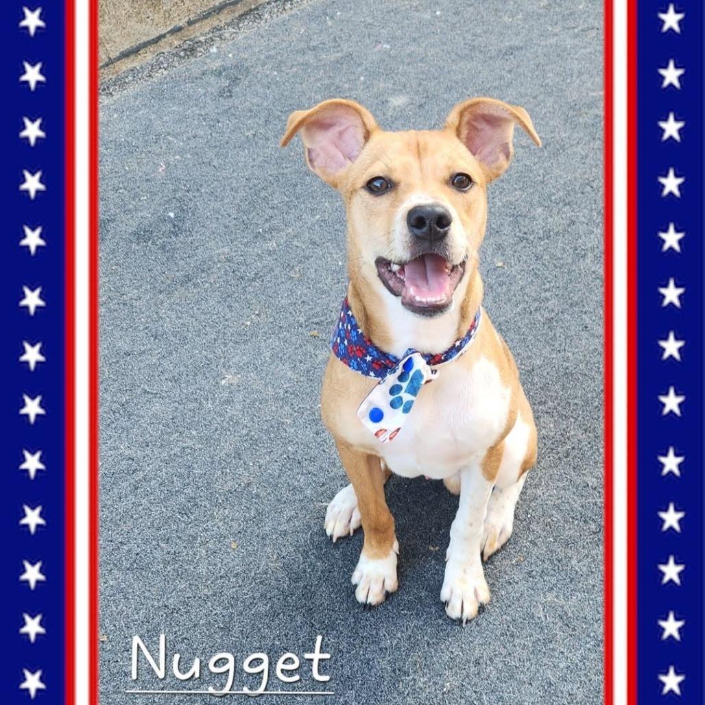 Nugget