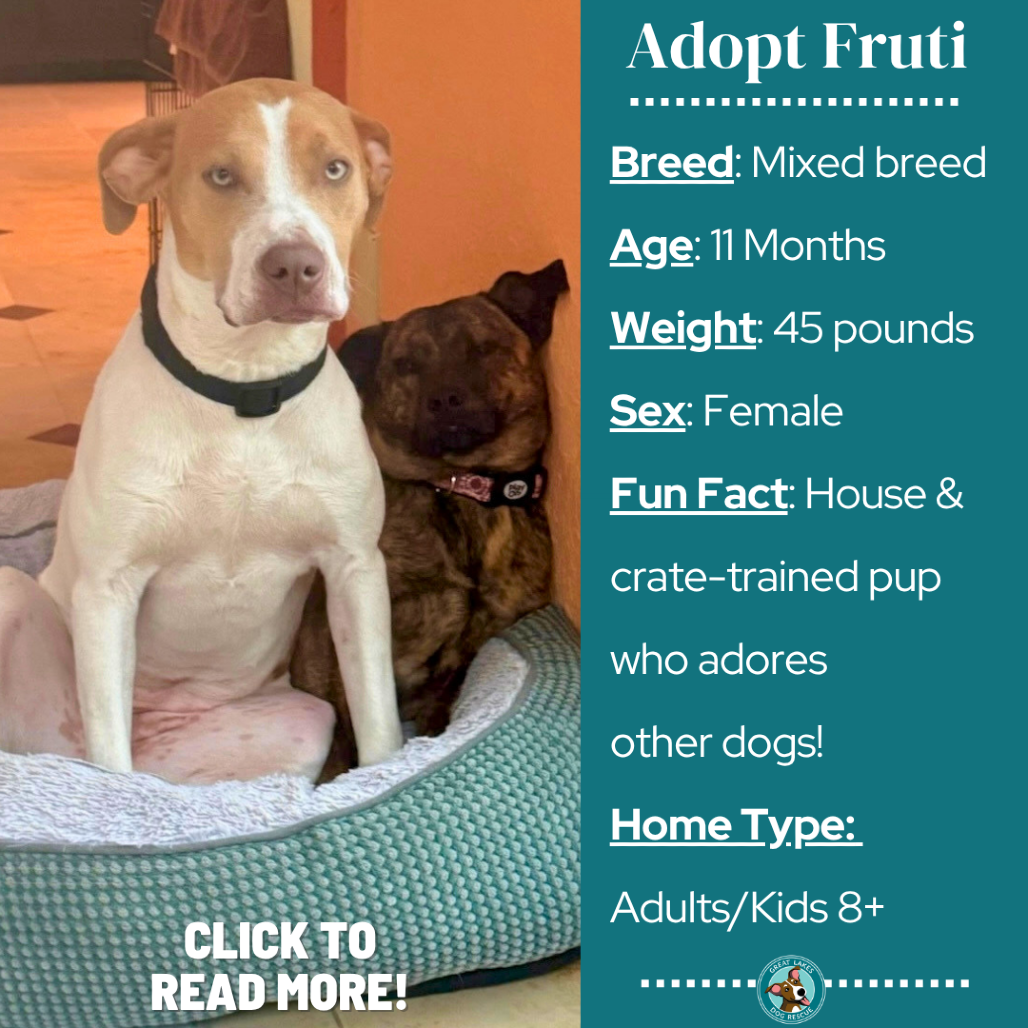Fruti