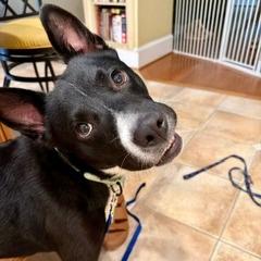 Diego