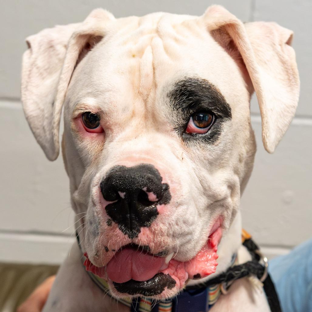 Roscoe 