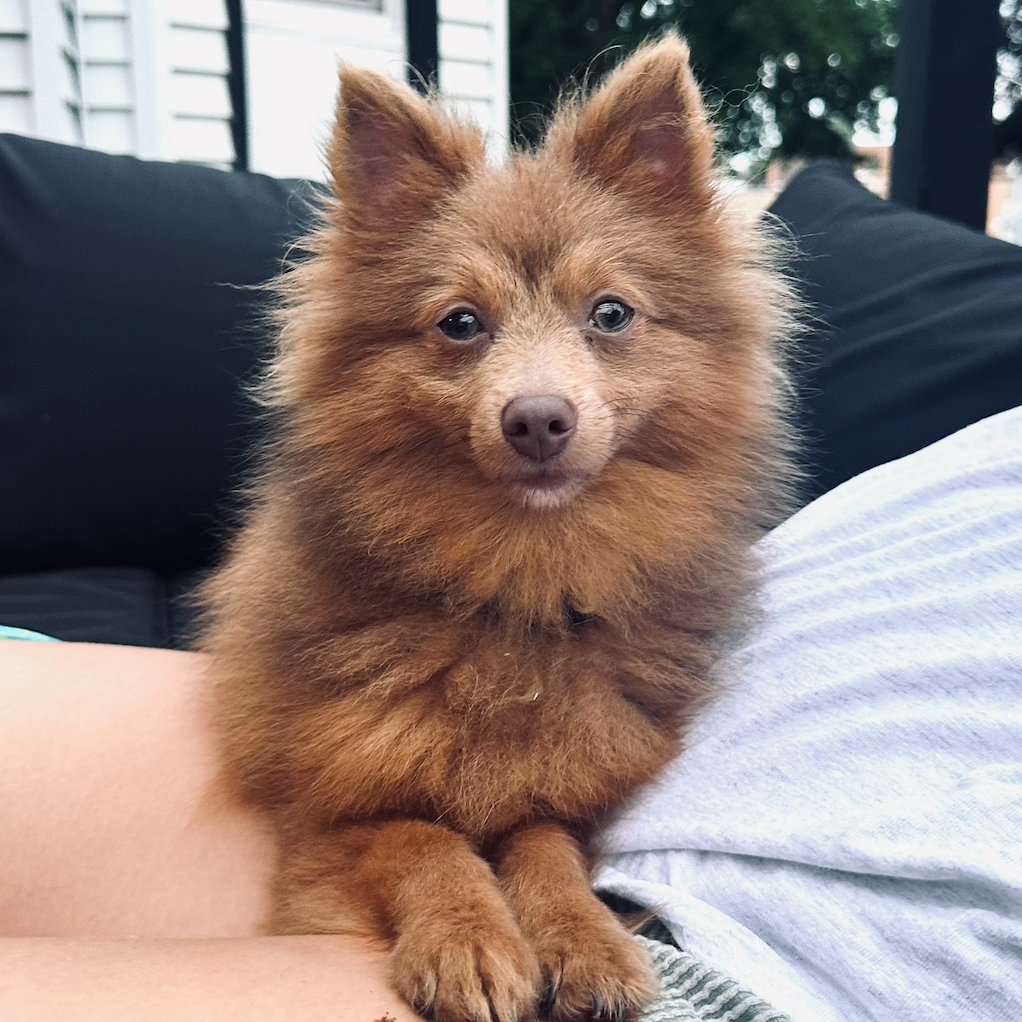 Copper 