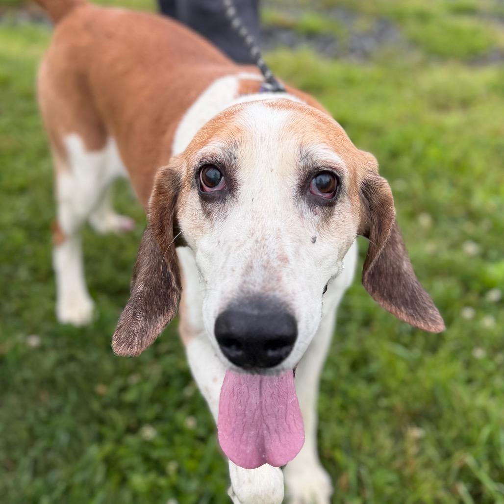 Albert (In Foster)