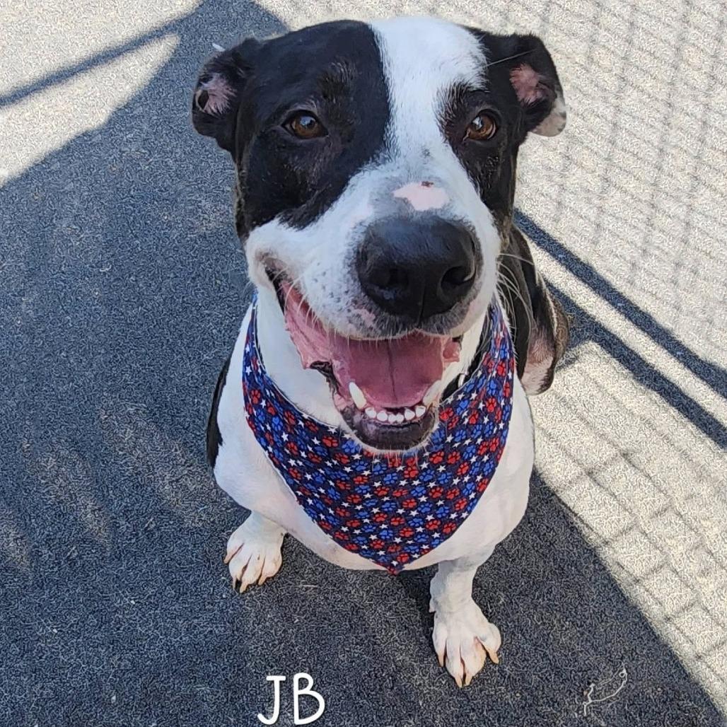 JB