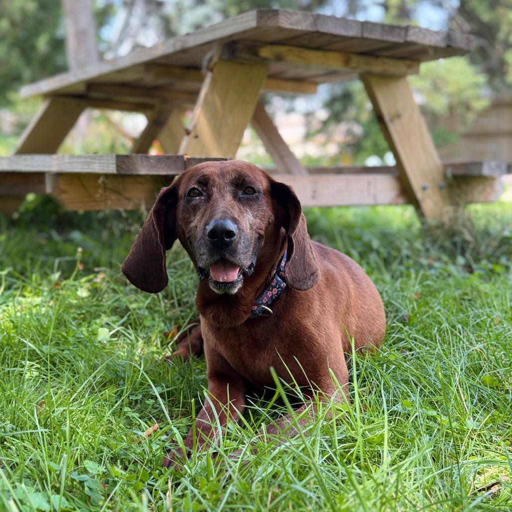 Ruby