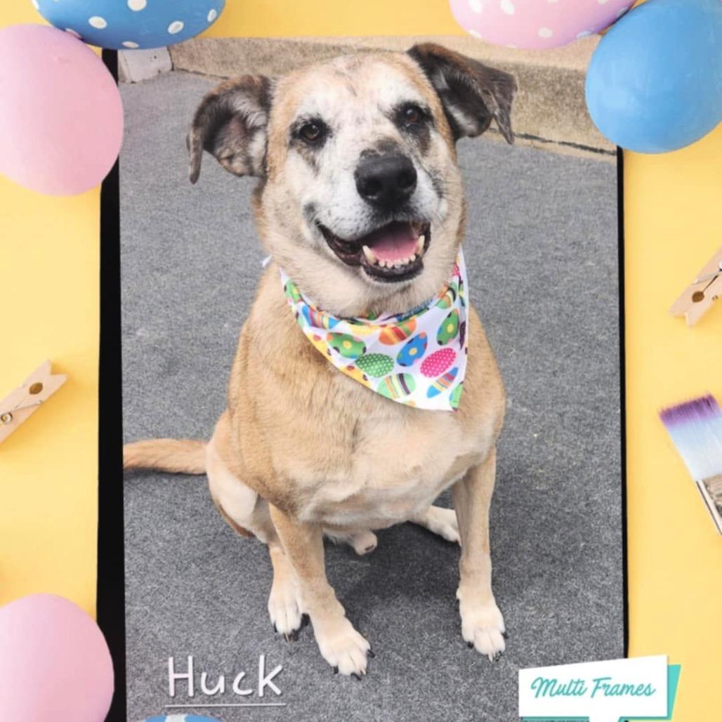Huck
