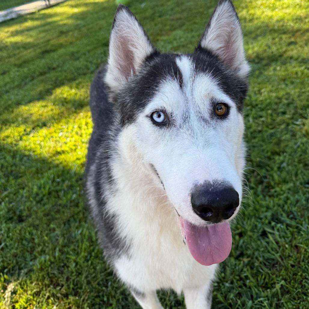 Zeus