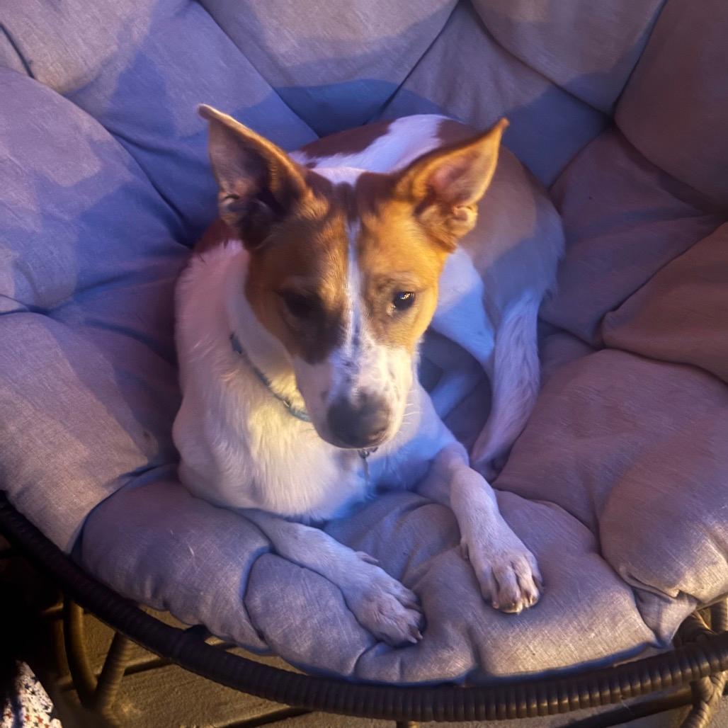 Tucker