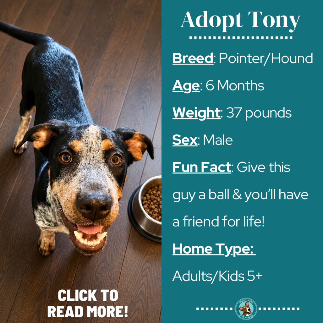 Tony