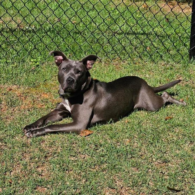 Lola