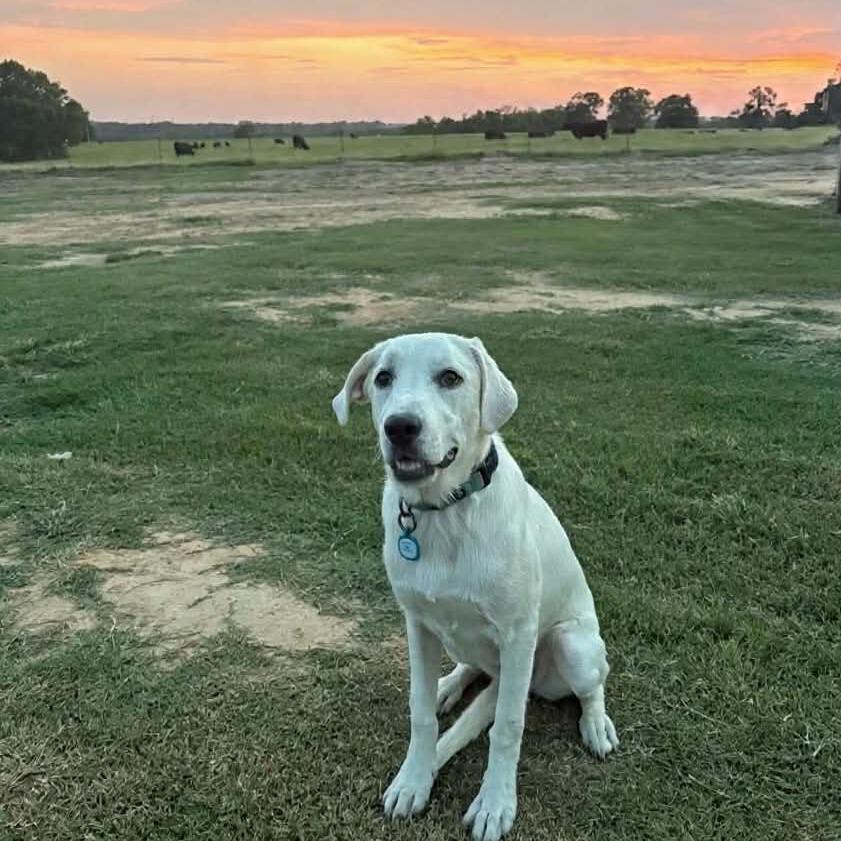 Maggie