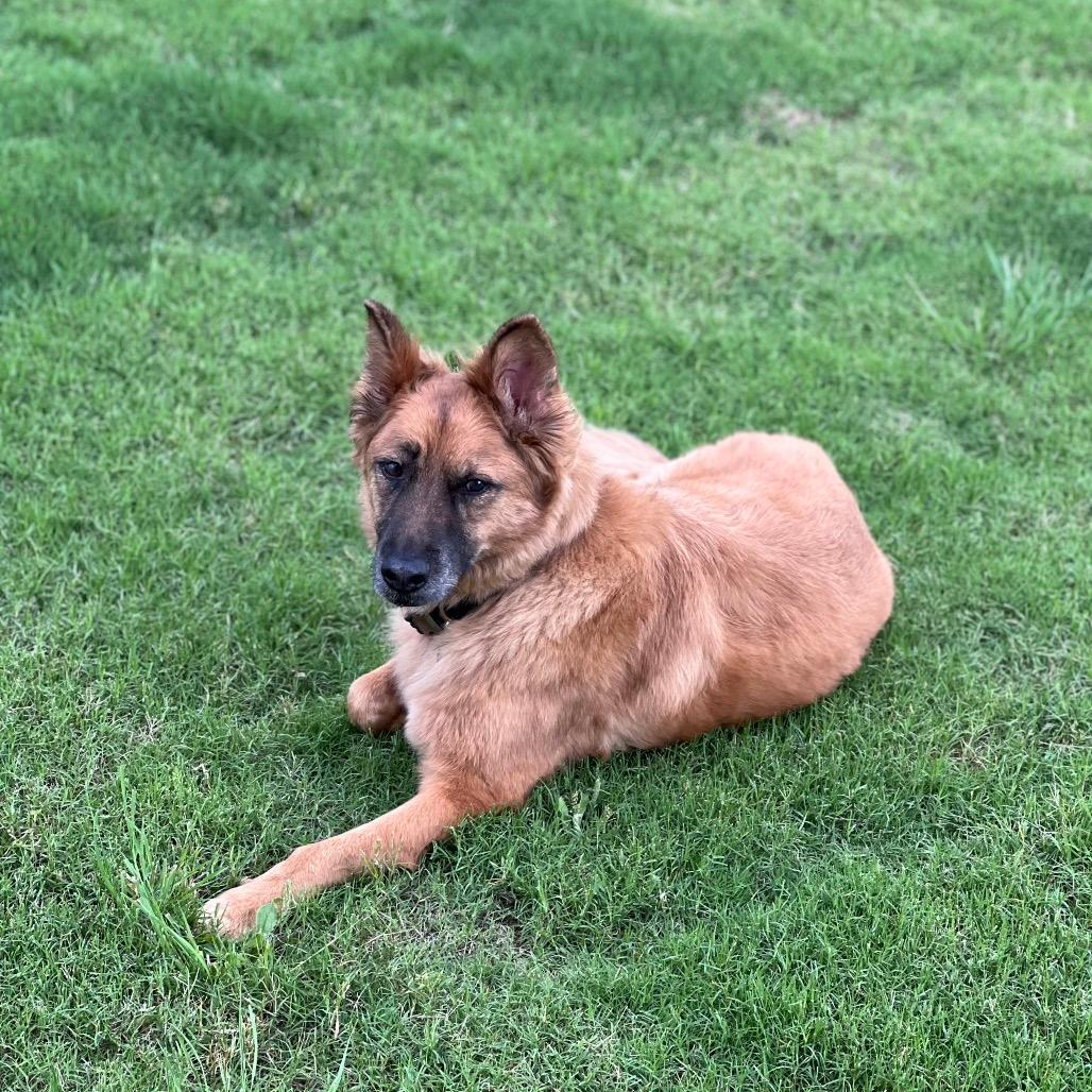 Coda 