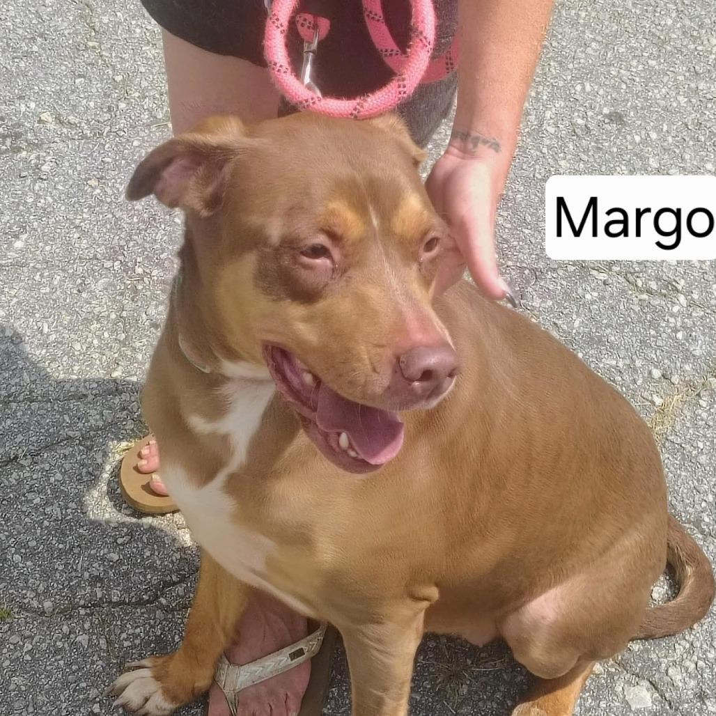 Margo