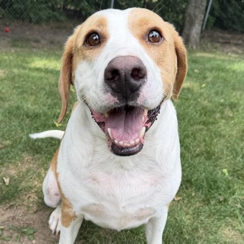 Tyson
