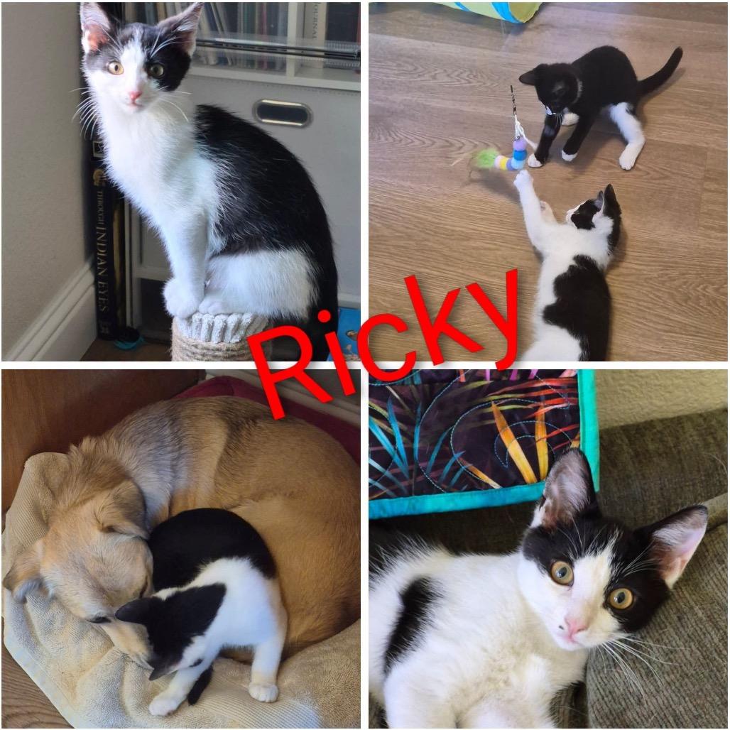 Ricky