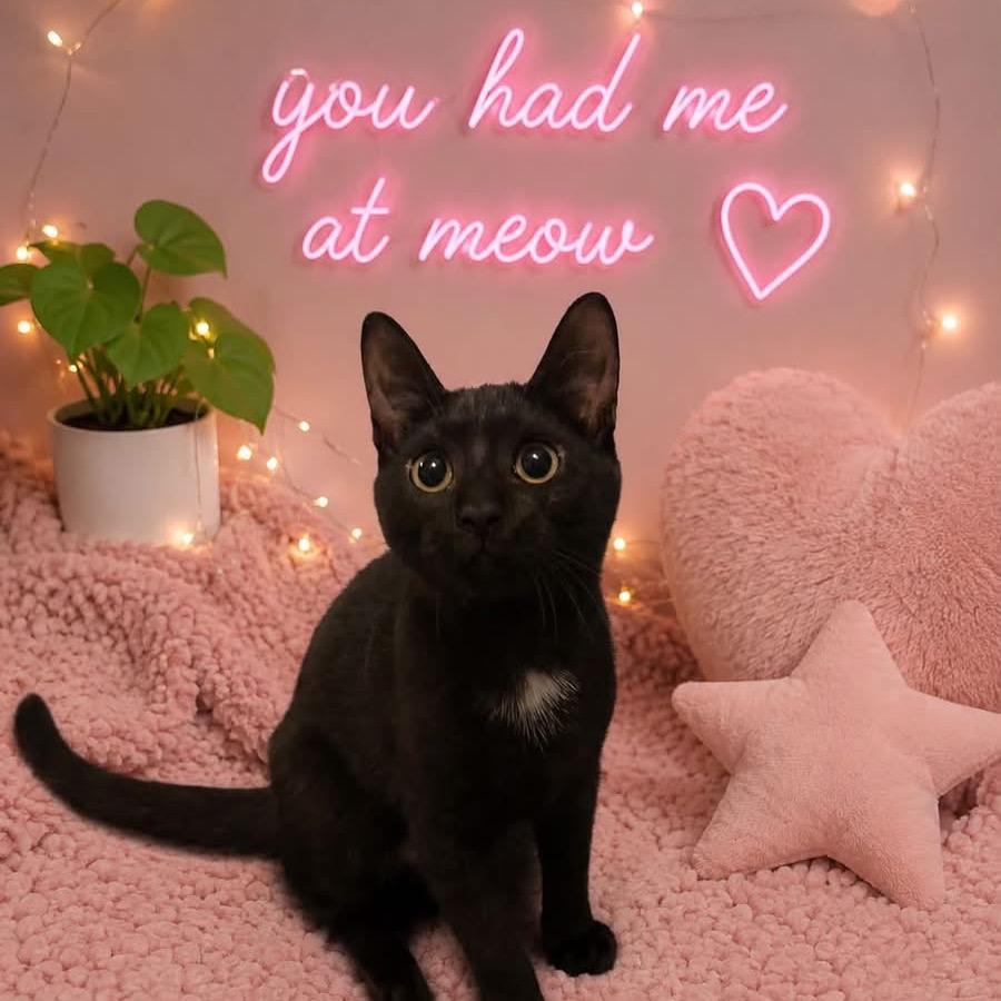 Stormi