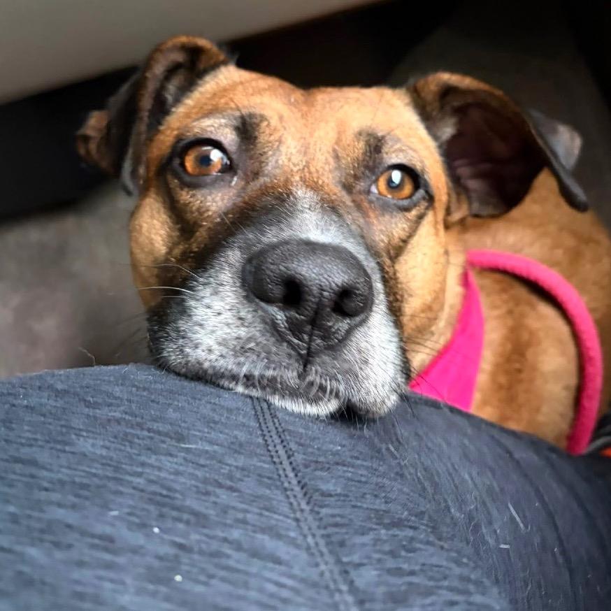 Tilly