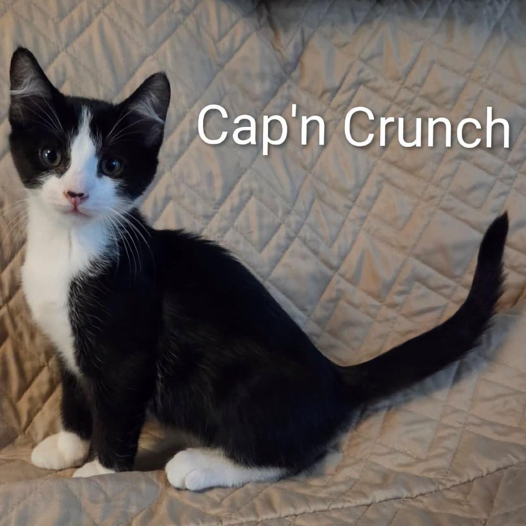 Cap'n Crunch