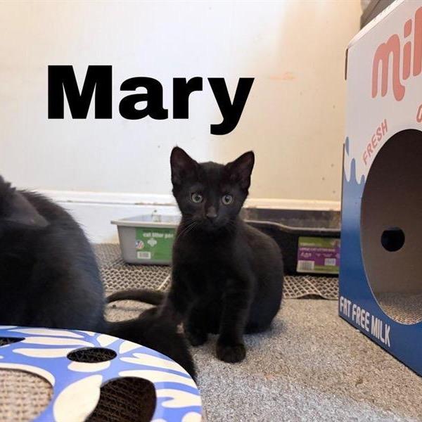 Mary