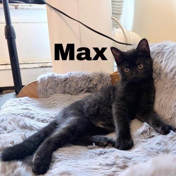 Max