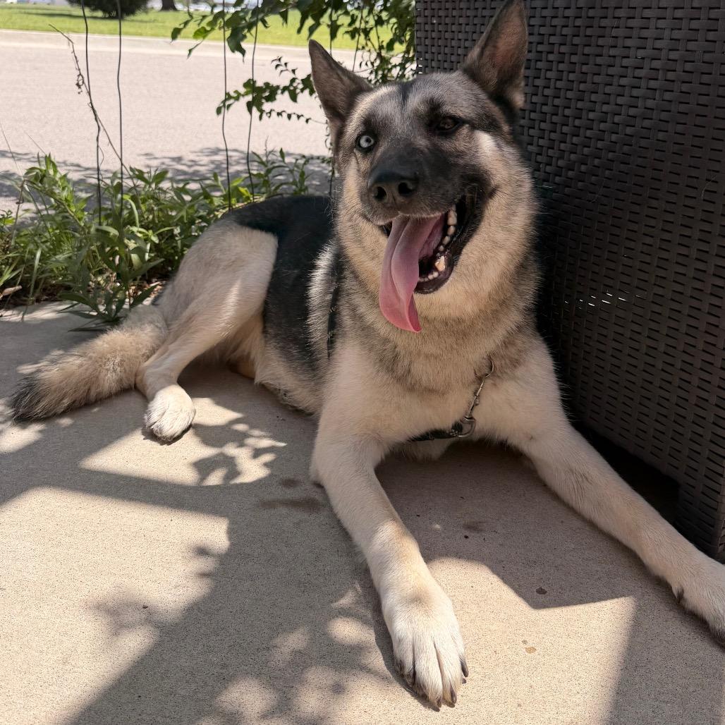 Sam