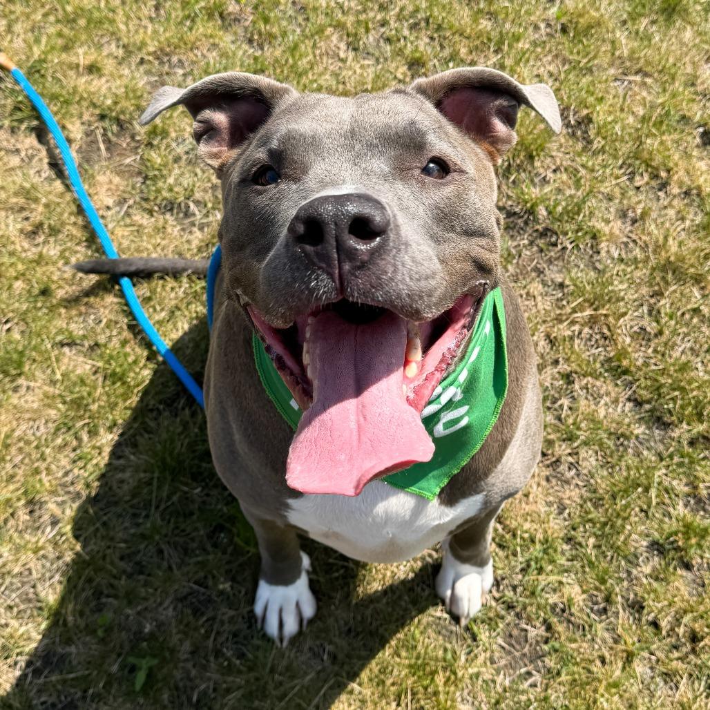 Jax