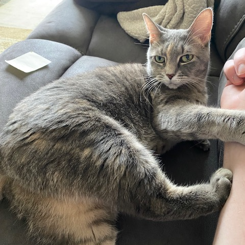 Chloe