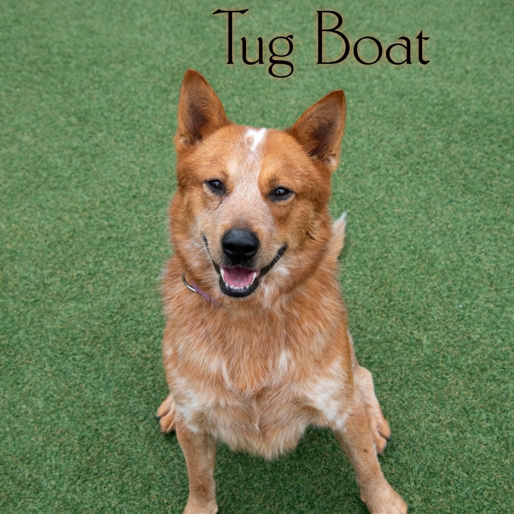 Tug Boat