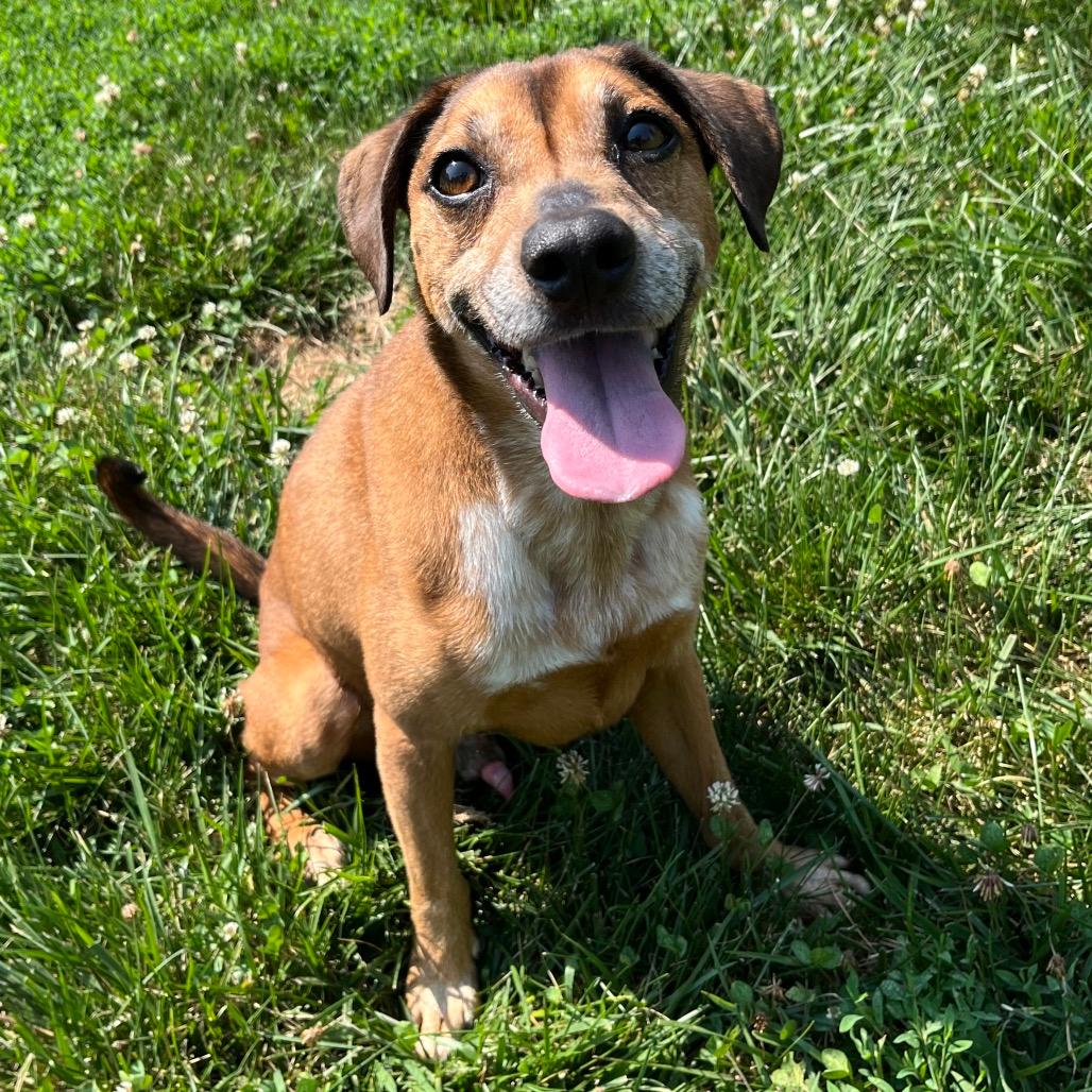 Winston(E2607060304-06538)