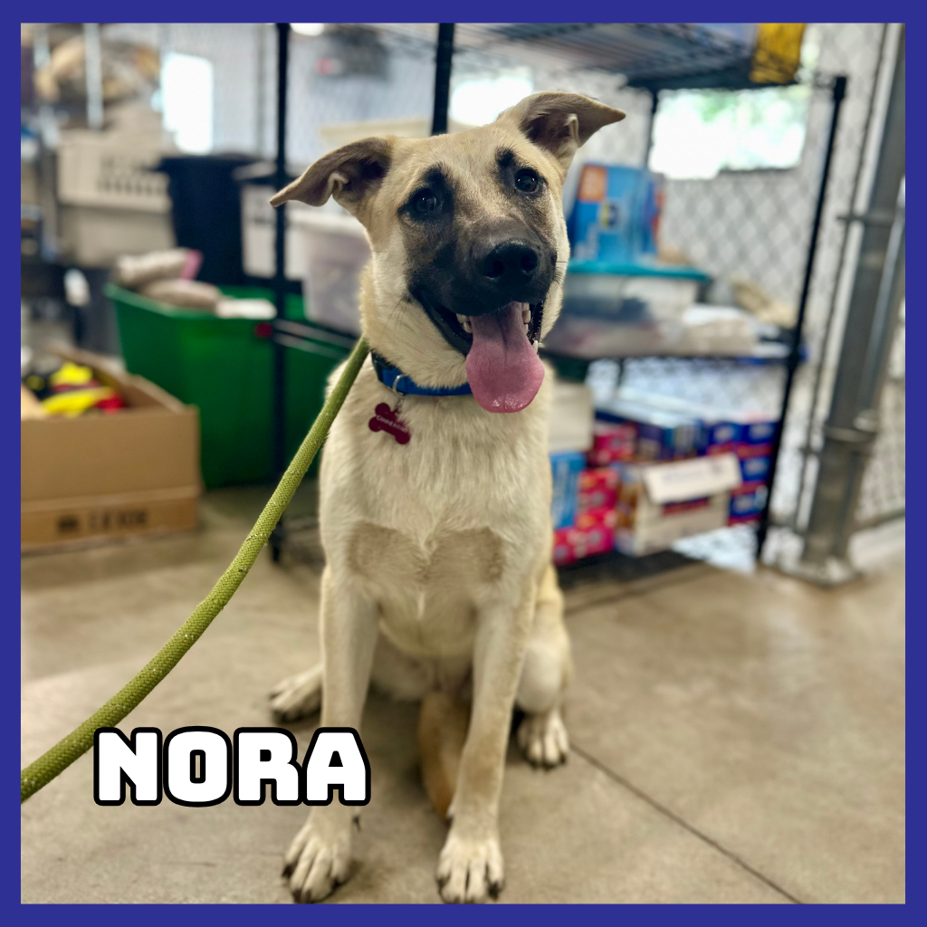 Nora