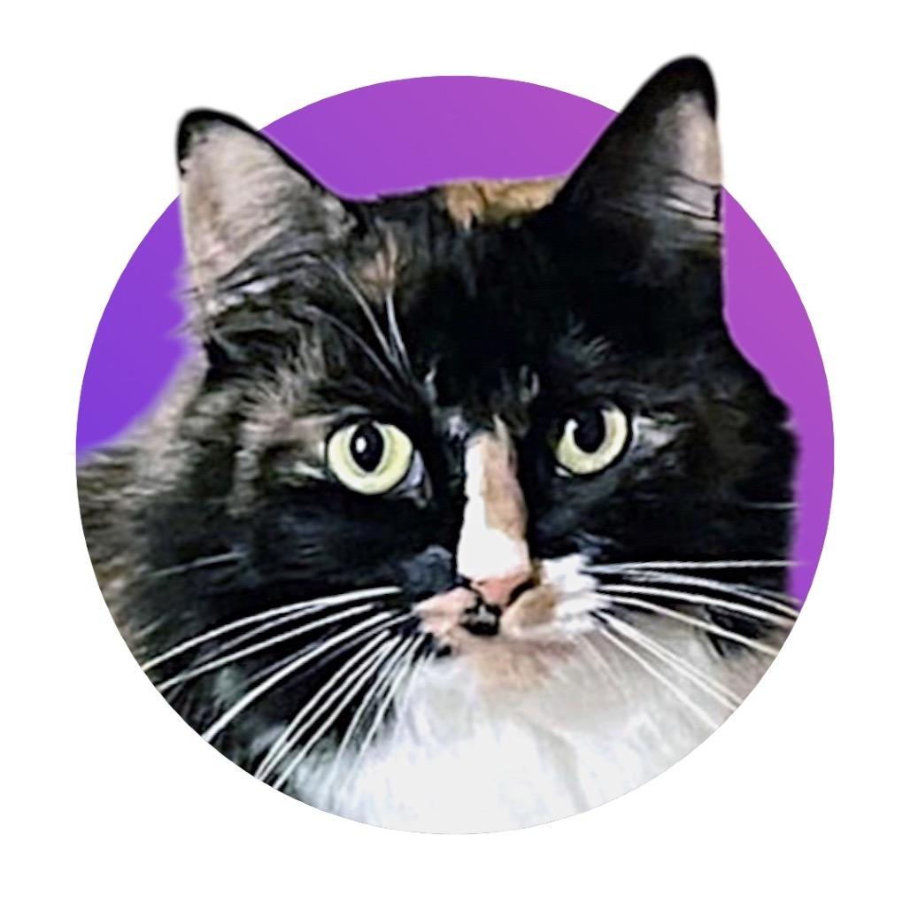 Minerva