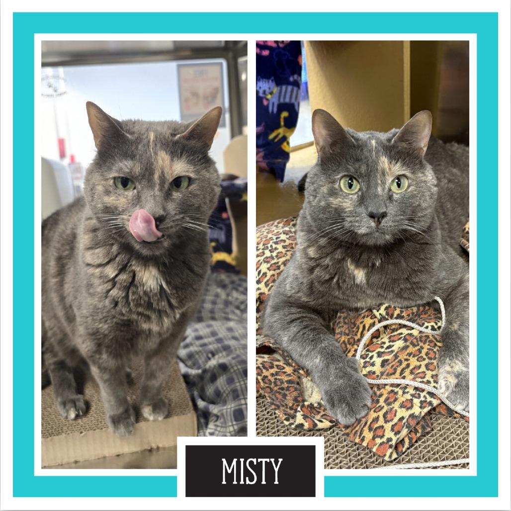 Misty