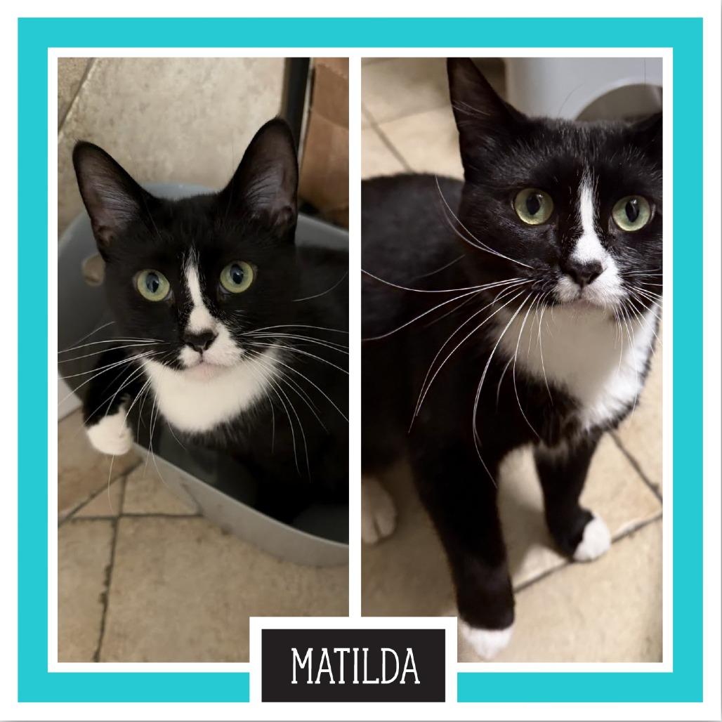 Matilda