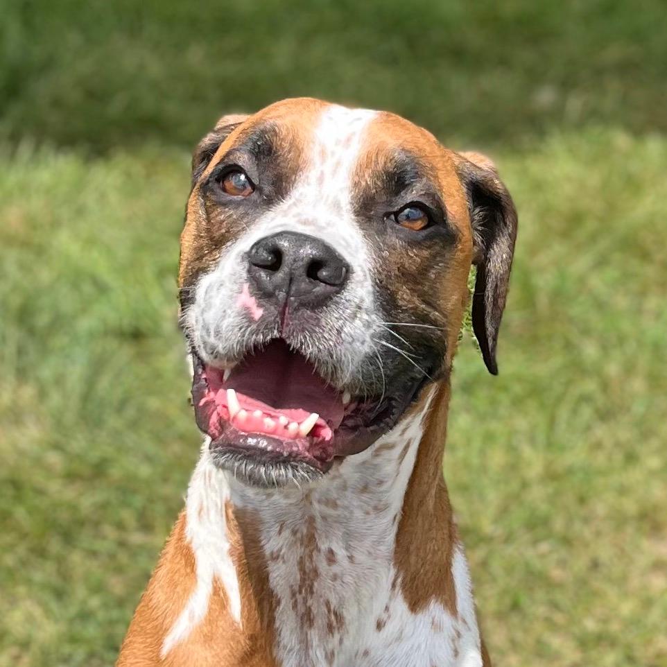 Maggie