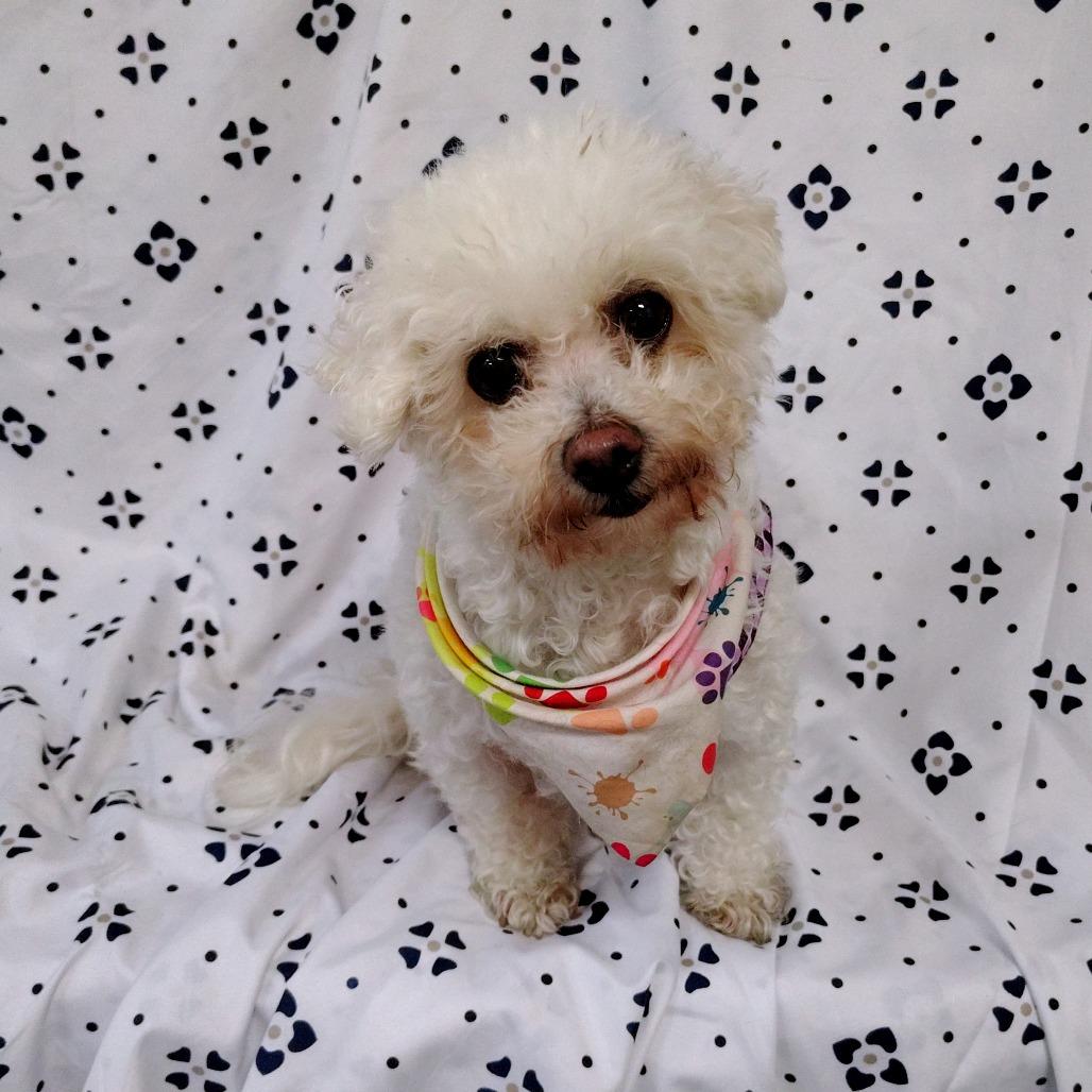Lucy